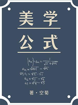 美学公式小说简介
